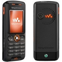Sony Ericsson W200i, Rhythm Black артикул 80c.