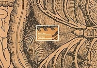 Изготовление протезов / Die Herstellung von Prothesen артикул 103c.